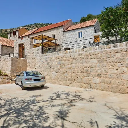 Hedera Xvi Brsečine