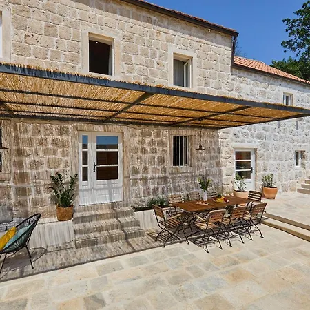 Hedera Xvi * Brsečine